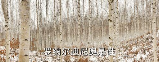 羅納爾迪尼奧是誰