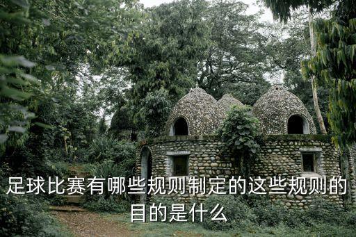 省級足球場地賽要求,樓頂足球場建設要求