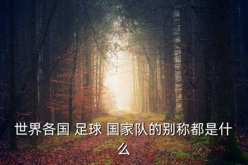 足球如何代表不同國(guó)家,足球運(yùn)動(dòng)員能代表兩個(gè)國(guó)家嗎