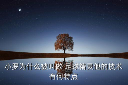 小羅為什么被叫做 足球精靈他的技術(shù)有何特點(diǎn)