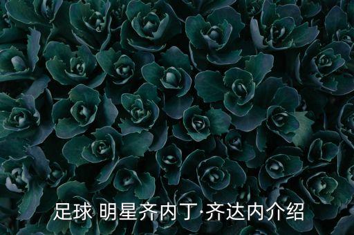  足球 明星齊內(nèi)丁·齊達內(nèi)介紹
