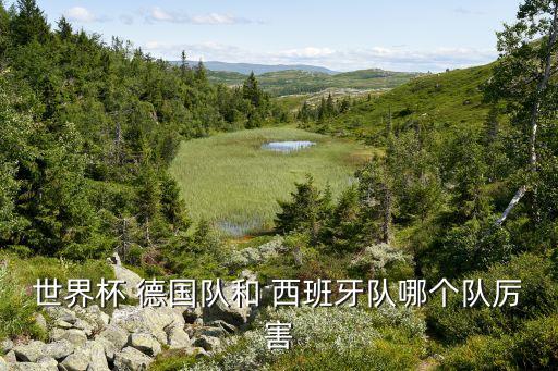 世界杯 德國隊(duì)和 西班牙隊(duì)哪個(gè)隊(duì)厲害