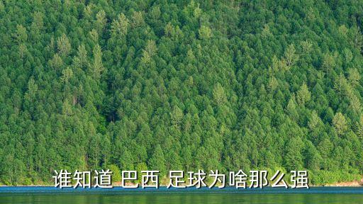 誰知道 巴西 足球為啥那么強