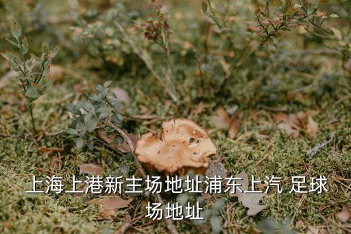  上海上港新主場地址浦東上汽 足球場地址