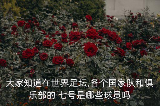 大家知道在世界足壇,各個(gè)國(guó)家隊(duì)和俱樂(lè)部的 七號(hào)是哪些球員嗎