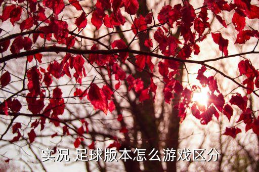 實(shí)況足球14和12的區(qū)別,勝利十一人和實(shí)況足球區(qū)別