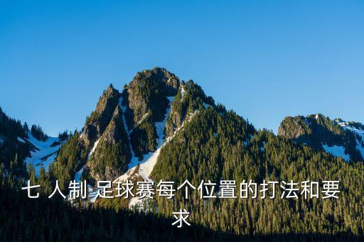 七 人制 足球賽每個位置的打法和要求