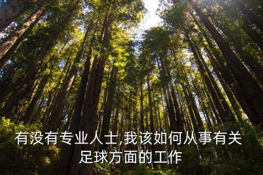 足球志愿者的工作,魅力足球志愿者