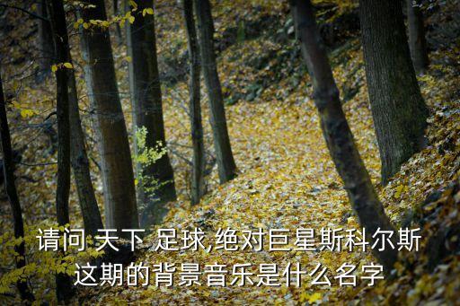 天下足球齊達內(nèi)是哪一期