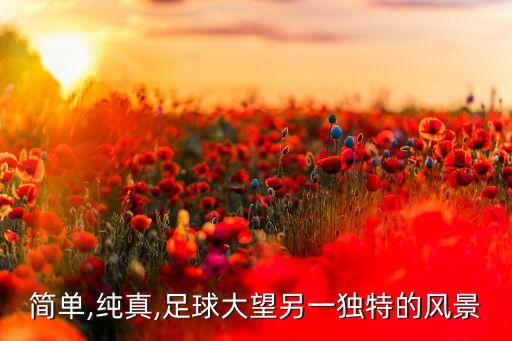 簡單,純真,足球大望另一獨特的風(fēng)景
