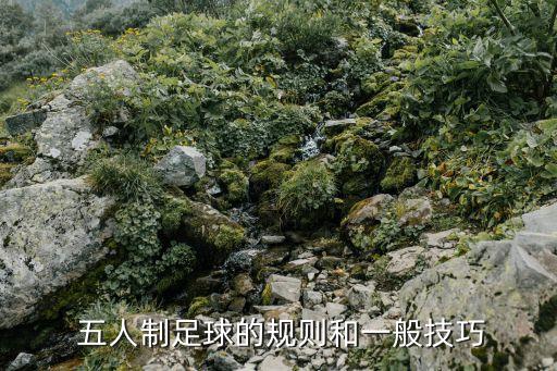  五人制足球的規(guī)則和一般技巧