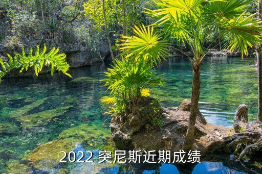 突尼西亞足球平時(shí)戰(zhàn)績(jī)