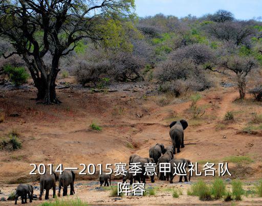 2014一2015賽季意甲巡禮各隊(duì)陣容