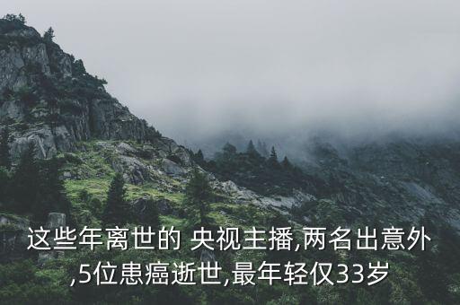 央視主持人踢足球