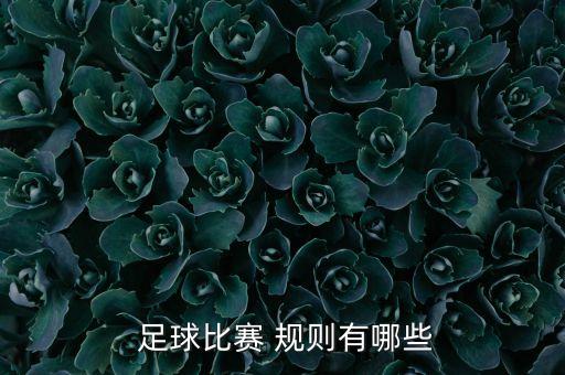  足球比賽 規(guī)則有哪些