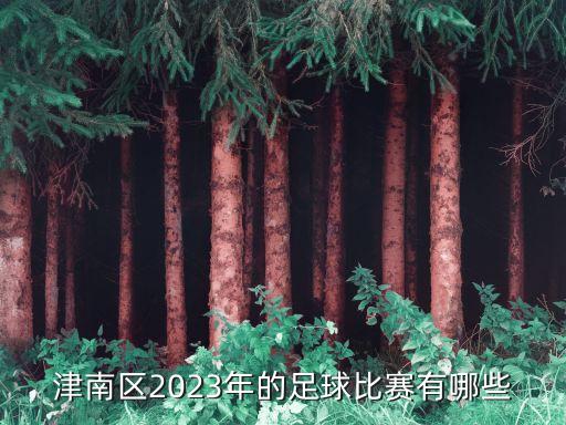 石家莊裕彤杯足球賽