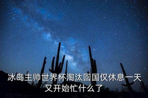 冰島足球員合照,冰島注冊足球運動員有多少