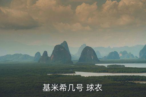 基米希幾號(hào) 球衣