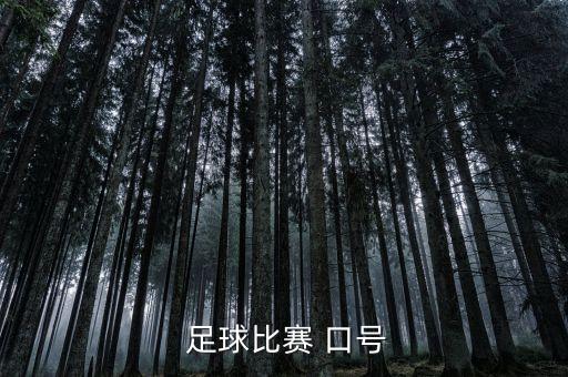 足球加油口號(hào)大全,小學(xué)足球加油口號(hào)霸氣押韻