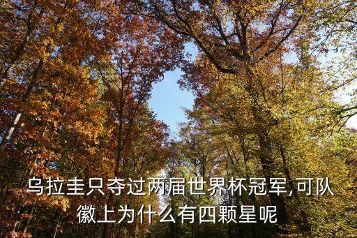  烏拉圭只奪過兩屆世界杯冠軍,可隊(duì)徽上為什么有四顆星呢