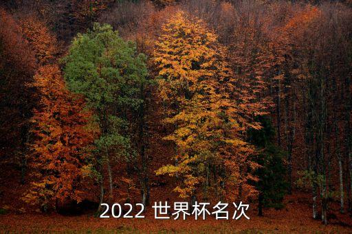 2022 世界杯名次