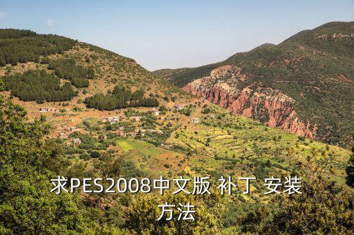 實(shí)況足球2008wecn補(bǔ)丁