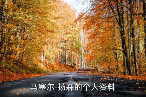 門興格拉德巴赫足球俱樂部的球員及遞交什么,歐冠門興格拉德巴赫足球俱樂部