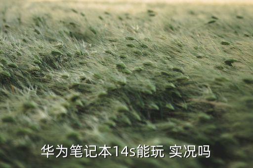 華為筆記本14s能玩 實(shí)況嗎