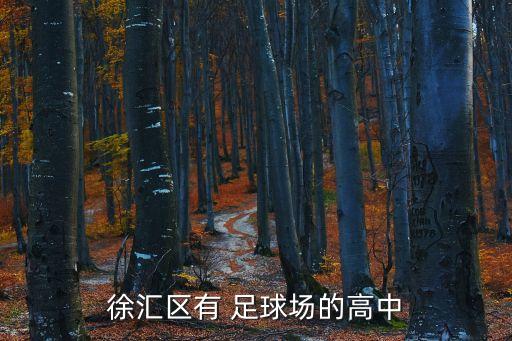 徐匯區(qū)有 足球場(chǎng)的高中