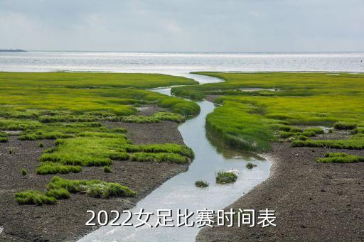 荷蘭國(guó)家女子足球隊(duì),u17國(guó)家女子足球隊(duì)