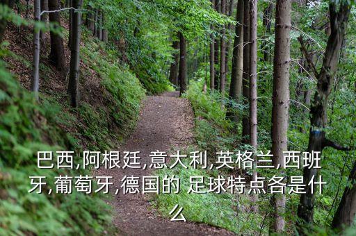 巴西,阿根廷,意大利,英格蘭,西班牙,葡萄牙,德國(guó)的 足球特點(diǎn)各是什么