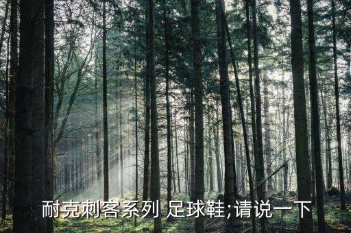  耐克刺客系列 足球鞋;請說一下
