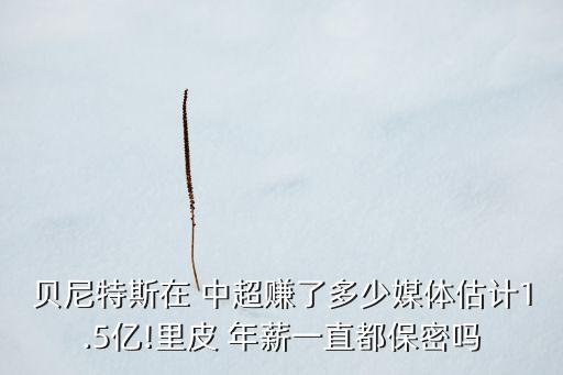 貝尼特斯在 中超賺了多少媒體估計(jì)1.5億!里皮 年薪一直都保密嗎