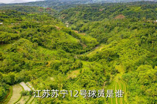 江蘇蘇寧12號(hào)球員是誰