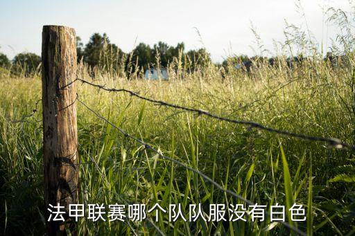 法甲聯(lián)賽哪個(gè)隊(duì)隊(duì)服沒有白色
