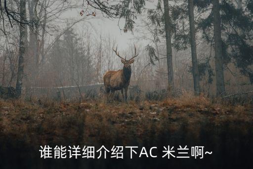 誰能詳細(xì)介紹下AC 米蘭啊~