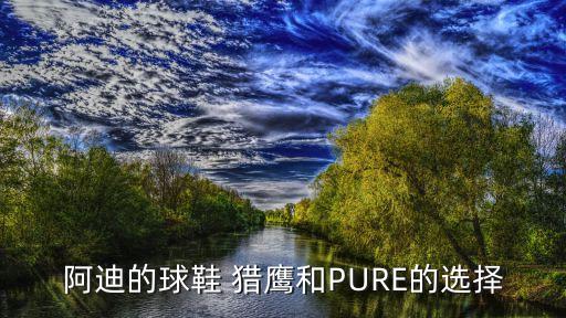 阿迪的球鞋 獵鷹和PURE的選擇