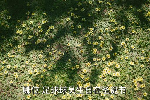 哪位 足球球員生日在圣誕節(jié)