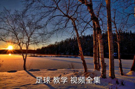足球高清入門教學(xué)視頻下載,新概念英語青少年版入門a教學(xué)視頻下載