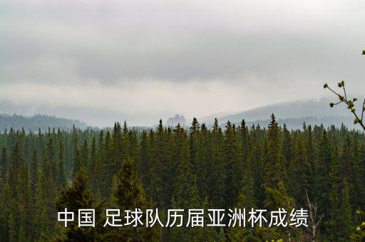 中國 足球隊(duì)歷屆亞洲杯成績