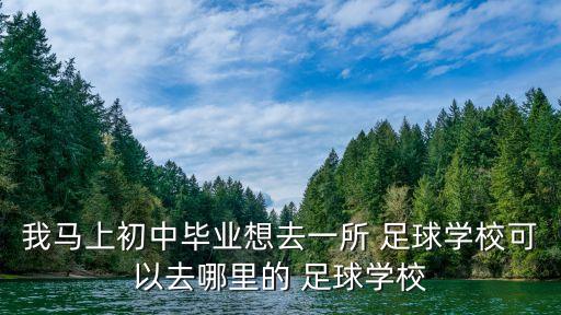我馬上初中畢業(yè)想去一所 足球學校可以去哪里的 足球學校