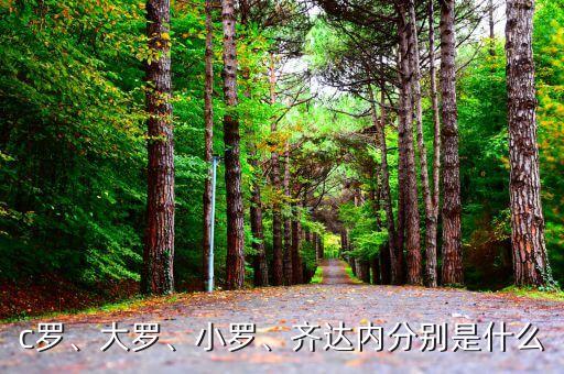 c羅、大羅、小羅、齊達內(nèi)分別是什么