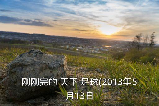 剛剛完的 天下 足球(2013年5月13日