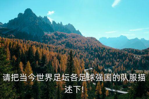 請把當(dāng)今世界足壇各足球強(qiáng)國的隊(duì)服描述下!