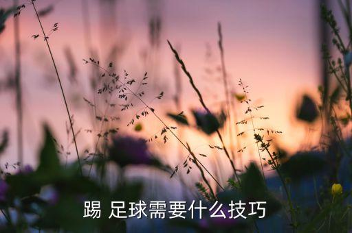 踢 足球需要什么技巧