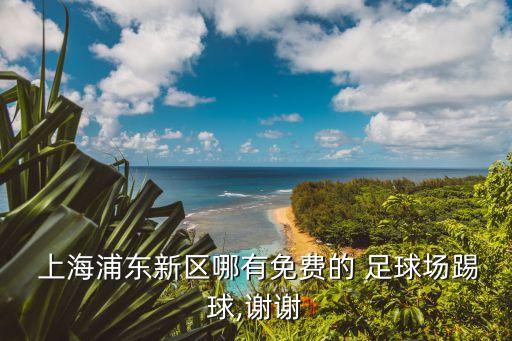  上海浦東新區(qū)哪有免費的 足球場踢球,謝謝