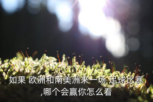 如果 歐洲和南美洲來(lái)一場(chǎng) 足球比賽,哪個(gè)會(huì)贏你怎么看