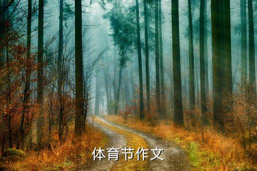 體育節(jié)作文