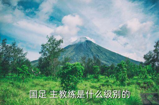 國足 主教練是什么級別的