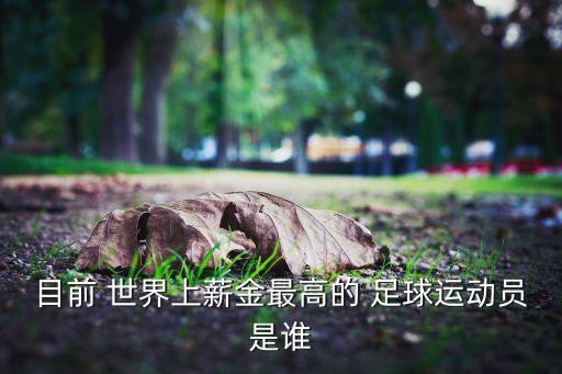 目前 世界上薪金最高的 足球運(yùn)動(dòng)員是誰(shuí)